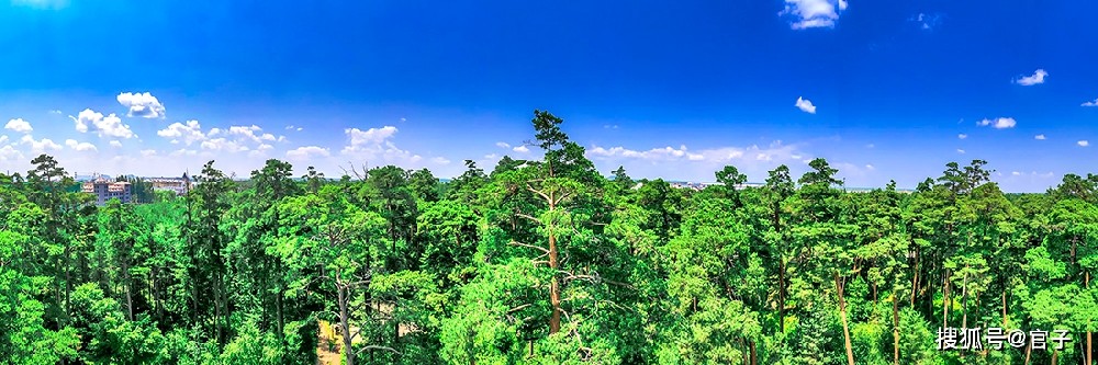 玄晶引擎AI数字员工赋能长白山康养文旅项目 实现47%收益率跃升